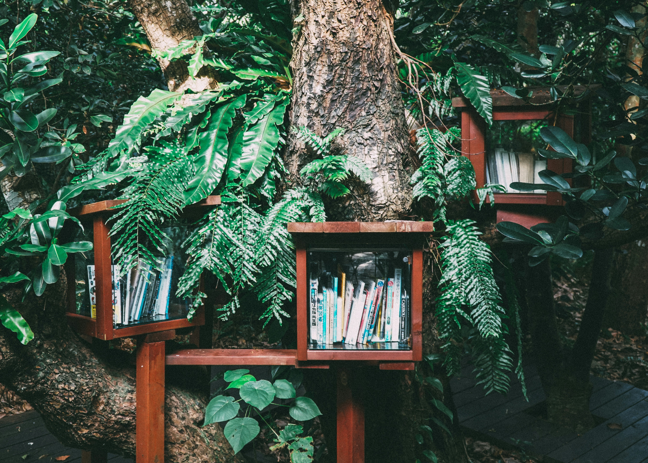 Nature Library